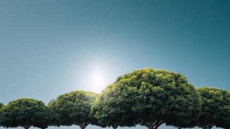 A serene landscape showcasing lush green trees under bright sunlight against a clear blue sky. This image captures the essence of nature's beauty and tranquility.の素材