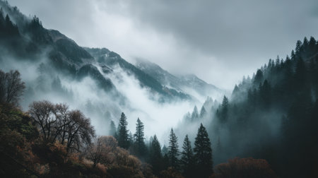 Explore a stunning mountain landscape where mist and fog envelop the serene wilderness, highlighting the beauty of pine trees and autumn colors.の素材