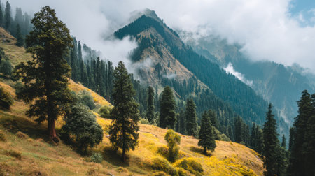 Experience a breathtaking scene of mountains enveloped in mist, lush green forests, and vibrant wildflowers under a serene sky, perfect for outdoor lovers and nature enthusiasts.の素材