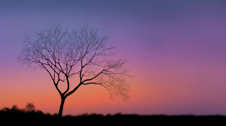 A striking image features a bare tree silhouette contrasting against a colorful sunset sky with shades of purple and orange. The scene conveys a sense of peace.の素材