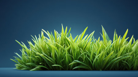 This image showcases vibrant green grass with a rich texture set against a deep blue background, perfect for conveying nature, freshness, and tranquility in various creative projects.の素材