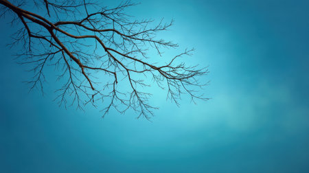 A striking view of a bare tree branch reaching out against a serene blue sky, perfect for themes of tranquility and minimalism in various creative projects.の素材