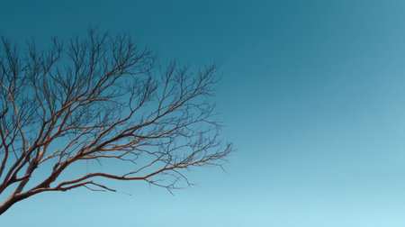 A solitary tree with bare branches stands out against a vibrant blue sky, capturing a moment of tranquility and simplicity in nature, ideal for serene artwork.の素材