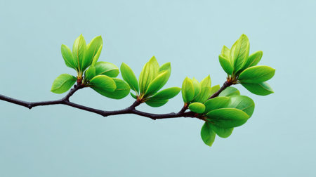 Beautiful close-up of fresh green leaves on a slender branch against a soft blue background, ideal for conveying tranquility, nature, and new beginnings in imagery.の素材