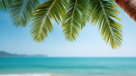 A picturesque scene featuring lush green palm leaves that enhance a tranquil beach setting, emphasizing natural beauty and relaxation in a tropical environment.の素材