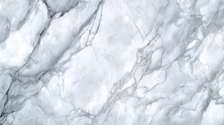This stunning white marble features subtle gray veining, perfect for use in interior design and architecture, offering a timeless and elegant aesthetic for various projects.の素材