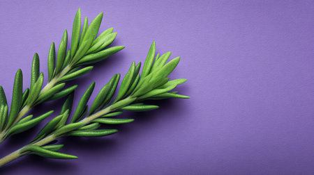 This image captures a striking arrangement of fresh green leaves set against a soft purple background, ideal for projects focused on nature, beauty, and tranquility.の素材