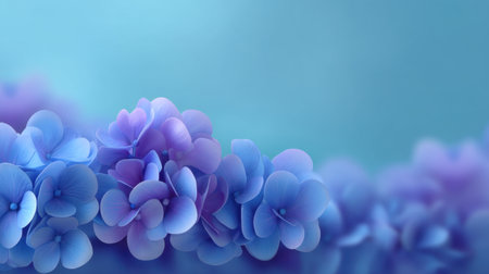 Beautiful closeup of hydrangea flowers in shades of blue and purple on a soft gradient backdrop, perfect for nature-inspired themes and artistic projects.の素材
