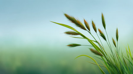 A tranquil scene capturing wild grasses gently swaying in a soft breeze, set against a peaceful blurred background of serene green and blue hues, evoking calmness.の素材