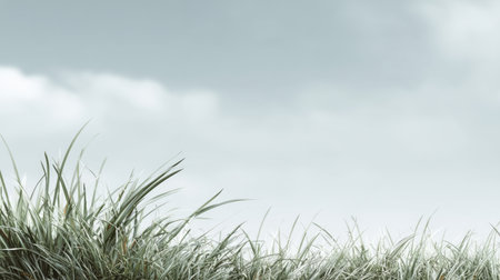 This image features a lush grass landscape contrasted by a soft, overcast sky, creating a tranquil scene that evokes feelings of calm and relaxation. Ideal for nature themes.の素材