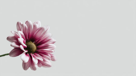 A stunning close-up of an elegant pink flower showcases delicate petals and a serene background, perfect for themes of beauty, nature, and artistic inspiration.の素材