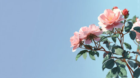 Delicate pink roses bloom gracefully against a soft blue backdrop, capturing the essence of nature's beauty and serenity in this vibrant floral composition.の素材