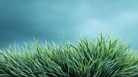 A close-up view of lush green grass blades swaying gently against a cloudy sky, capturing the essence of tranquility and natural beauty in a serene outdoor setting.の素材
