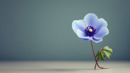 A stunning blue flower with gentle petals stands gracefully with a thin stem against a muted grey background, embodying simplicity and tranquil beauty in nature.の素材