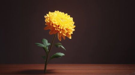 A stunning bright yellow flower stands tall on a wooden table against a dark background, showcasing nature's beauty and vibrancy. Ideal for spring-themed projects.の素材