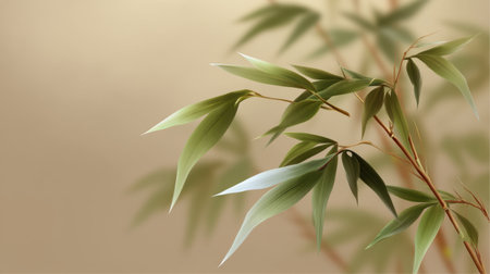 Explore the beauty of delicate bamboo leaves with a soft neutral background, perfect for evoking serenity and natural elements in design and decor themes.の素材