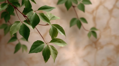 This image features vibrant green leaves delicately hanging against a soft, textured beige background, ideal for themes of nature, wellness, and tranquility in design projects.の素材