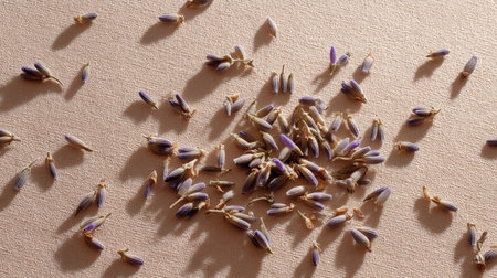 This image features a close-up view of lavender flowers scattered on a soft surface, showcasing their delicate beauty, colors, and calming presence, suitable for various design projects.の素材