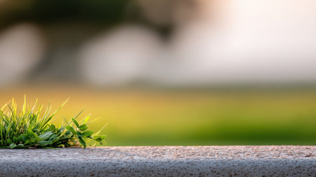 A serene image showcasing green grass emerging from a concrete surface, surrounded by a softly blurred background, embodies the harmony of nature in urban settings.の素材