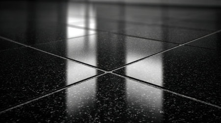 A close-up view of reflective black floor tiles that highlight light and shadow interactions. This minimalist aesthetic adds elegance to modern interior spaces.の素材