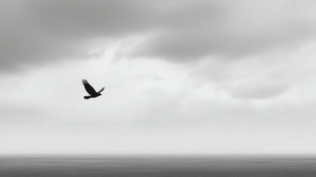 A stunning black and white image captures a solitary bird in flight over a serene ocean. The dramatic sky adds depth, creating a peaceful and timeless atmosphere.の素材