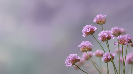 A captivating image of delicate pink flowers set against a softly blurred background, perfect for evoking feelings of serenity and inspiration in any creative project.の素材