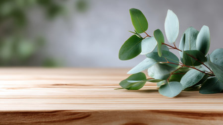 A serene composition featuring fresh eucalyptus leaves resting on a wooden table. The blurred background enhances the simplicity and natural beauty of this setting.の素材