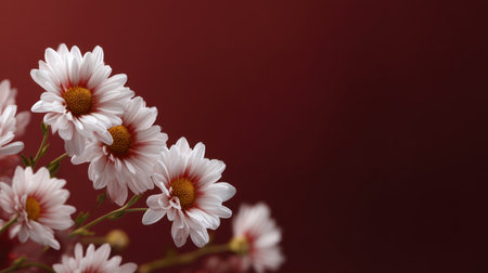 A stunning close-up of delicate pink flowers set against a soft red background, capturing the essence of springtime beauty and elegance for various creative projects.の素材