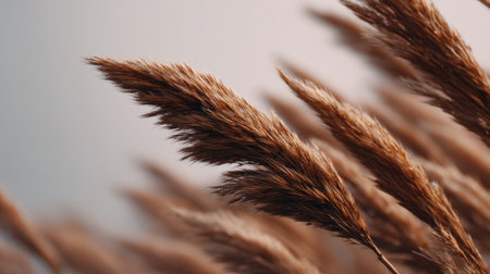 Capture the essence of nature with this close-up of elegant brown grass swaying gently against a soothing background, embodying tranquility and organic beauty.の素材