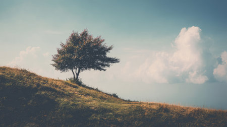 A picturesque scene featuring a solitary tree standing on a gentle hill under a clear blue sky adorned with soft, fluffy clouds, evoking a sense of calm.の素材