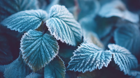 This close-up image features frost-covered leaves, showcasing intricate textures and glimmering ice crystals in a cool color palette, evoking a serene winter atmosphere.の素材