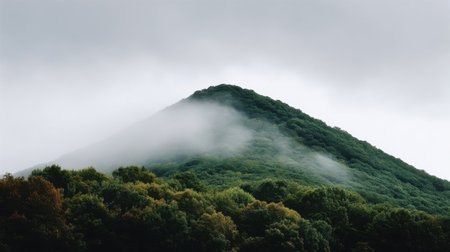 A serene mountain landscape features a lush green forest enveloped in misty clouds, creating a tranquil and peaceful atmosphere under overcast skies.の素材