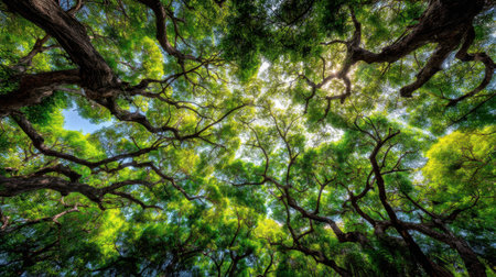 A mesmerizing view of a vibrant green canopy framed by a bright blue sky, showcasing the beauty of nature's intricate foliage and tranquil outdoor atmosphere.の素材