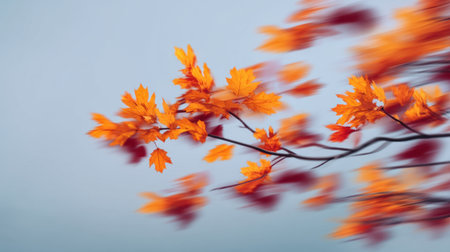 Captivating image of vibrant orange autumn leaves swirling in the wind, set against a soft blue sky, showcasing the beauty and transience of the fall season.の素材