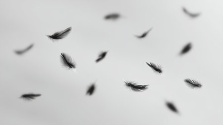 Discover the elegant beauty of black feathers delicately floating across a soft white background, creating a serene and ethereal scene perfect for artistic designs and calming visuals.の素材
