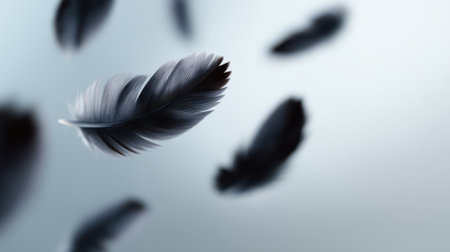 A collection of black feathers appears to float effortlessly on a soft blue background. This image evokes feelings of tranquility and elegance, ideal for serene projects.の素材