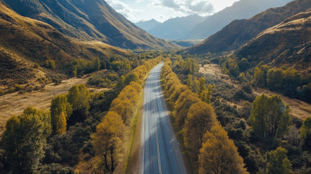 top view of a road leading through a valley, with trees lining both sides and mountains in the distanceの素材