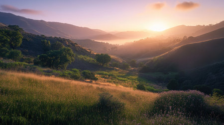 Outdoor photography at dawn, capturing the first rays of light illuminating a valleyの素材