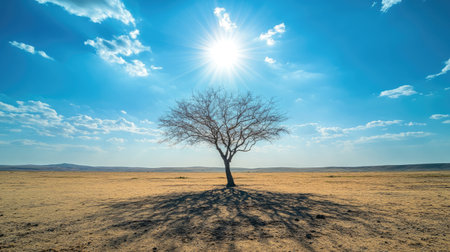 tree standing alone in a desolate desert, casting a long shadow under the scorching sun and blue skyの素材