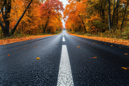 A two-lane asphalt highway lined with autumn trees, their orange and red leaves contrasting with the smooth black road.の素材