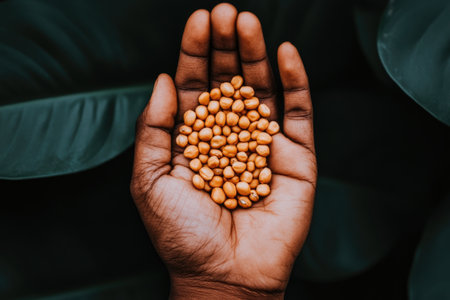 A close-up of a hand holding small seeds, showcasing nature's bounty against a dark background. Ideal for themes of agriculture, growth, and sustainability.の素材