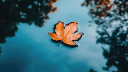 A single orange leaf gently floats on a calm water surface, creating a serene and tranquil scene. The soft reflections enhance the beauty of nature.の素材