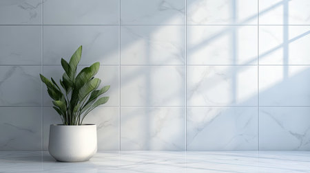 A modern indoor plant in a white pot elegantly positioned against a bright, minimalist wall. Natural light casts soft shadows, creating a peaceful atmosphere.の素材