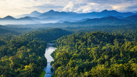 A stunning aerial view of a lush jungle landscape featuring a meandering river surrounded by dense forests, mountains, and a serene sky. Perfect for nature enthusiasts.の素材