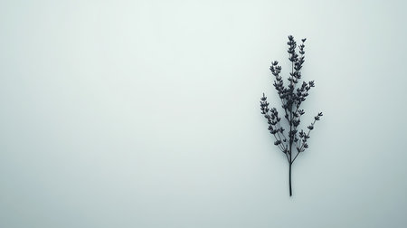 A serene minimalist image featuring a single plant branch on a soft background, perfect for conveying tranquility and modern design aesthetics. Ideal for botanical themes.の素材