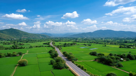 This image showcases a stunning aerial view of vibrant green rice fields alongside a winding road, framed by distant mountains under a bright blue sky filled with clouds.の素材