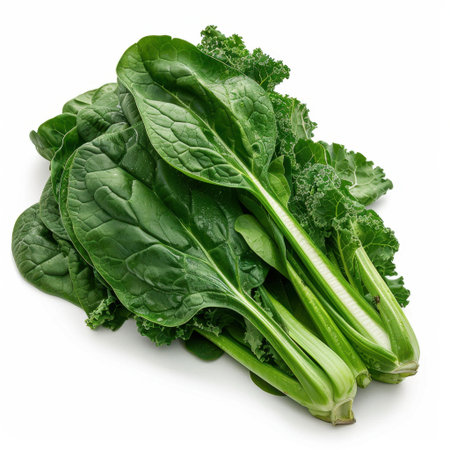 A fresh collection of organic leafy greens features vibrant green spinach and kale, perfect for healthy meals, salads, and nutritious dishes in various culinary creations.の素材
