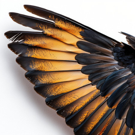 A captivating close-up of a bird wing showcasing beautiful orange and brown feathers in natural light, highlighting intricate patterns and textures.の素材