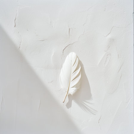 A single white feather rests on a textured white surface, creating a minimalist and serene atmosphere. Ideal for nature themes and decorative accents.の素材