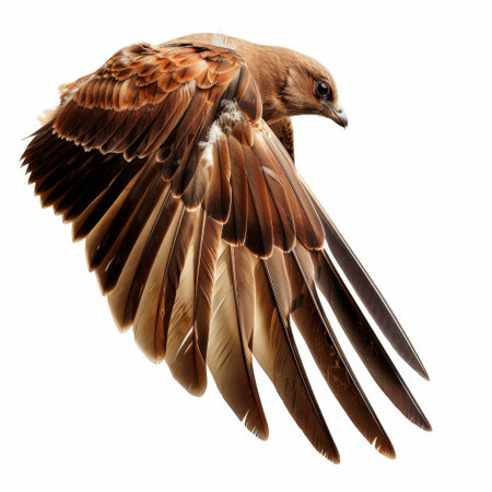 Captivating image of a bird soaring in flight, showcasing its intricate wing feathers and vibrant plumage. Perfect for nature lovers and wildlife enthusiasts.の素材